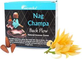 img 4 attached to 🌸 ARO VATIKA Backflow Natural Incense Cones - 12 Packs with 120 Cones in 10 Fragrances: Dragon's Blood, Lavender, Musk, Nag Champa, Palo Santo, Rose, Patchouli, Sandalwood, White Sage, Lotus