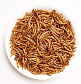 img 1 attached to Mealworms Natural Chicken Protein Bearded