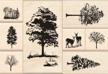 inkadinkado trees wood stamp set logo