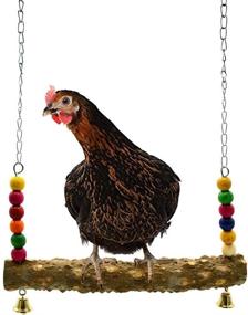 img 4 attached to Mrli Pet Chicken Swing Toys - Natural Wooden Hens & Large Bird Parrot Macaw Training Equipment