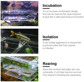 img 1 attached to Lefunpets Double Guppies Hatching Incubator: Aquarium Fish Breeding Box for Baby Fish Hatchery and Isolation