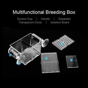 img 3 attached to Lefunpets Double Guppies Hatching Incubator: Aquarium Fish Breeding Box for Baby Fish Hatchery and Isolation