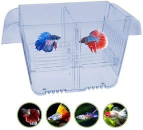 img 2 attached to Lefunpets Double Guppies Hatching Incubator: Aquarium Fish Breeding Box for Baby Fish Hatchery and Isolation