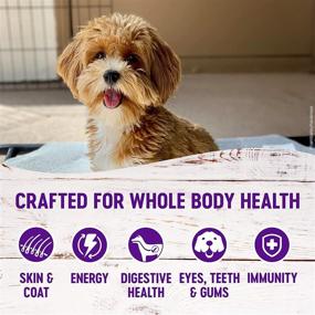 img 1 attached to Wellness Complete Health Small Breed Turkey & Oatmeal Dry Dog Food - Natural, Healthy, Made in USA, No Meat by-Products, Fillers or Artificial Preservatives