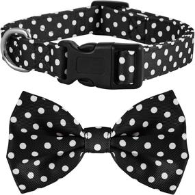 img 4 attached to Polka Collar Fancy Design Female