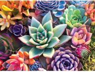 diamond painting kits adults succulents logo