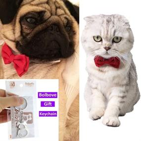 img 1 attached to 🎩 Bolbove Adjustable Formal Pet Bowtie Collar Neck Tie: Perfect Finishing Touch for Dogs & Cats