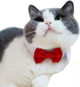 img 4 attached to 🎩 Bolbove Adjustable Formal Pet Bowtie Collar Neck Tie: Perfect Finishing Touch for Dogs & Cats