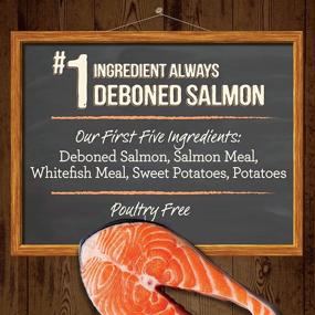 img 2 attached to 🐟 Merrick Grain Free Real Salmon & Sweet Potato Recipe Dry Dog Food: Nutritious and Delicious for your Pup!