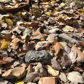 img 1 attached to 🗿 Real Stone-Like Hide-a-Spare-Key Fake Rock - Outdoor Garden and Yard Safety, Geocaching - Type-A (Black), 1 Pack