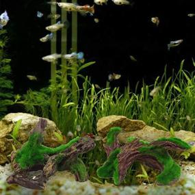 img 2 attached to 🐠 Decaying Trunk Aquarium Décor: Artificial Resin Log Tree Branch with Moss - Perfect Fish Tank Decoration for Fish and Shrimp