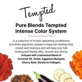 img 3 attached to Pure Blends Tempted Direct Pigment Hair Care in Hair Coloring Products