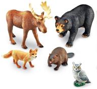 🐘 jumbo forest animals learning resources логотип