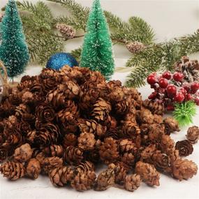 img 2 attached to 🌲 200 PCS Natural Pine Cones - Mini Thanksgiving & Christmas Pine Cones - Bulk Pinecones Ornaments for Home Decor, DIY Crafts, Wedding, Christmas Tree - Fall & Winter Decoration