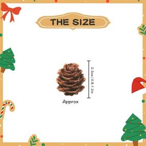 img 3 attached to 🌲 200 PCS Natural Pine Cones - Mini Thanksgiving & Christmas Pine Cones - Bulk Pinecones Ornaments for Home Decor, DIY Crafts, Wedding, Christmas Tree - Fall & Winter Decoration