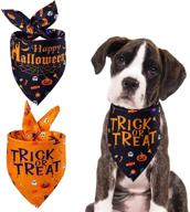 🎃 spooktacular halloween dog bandana: reversible fall pumpkin ghost skeleton design - perfect for trick or treat adventures! ideal costume for large, medium, small dogs & cats - 2 pack логотип