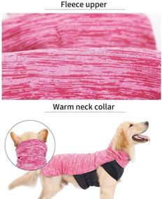 img 3 attached to 🐶 Fragralley Winter Dog Sweater Fleece Coat - Warm Neck Collar Pet Jacket, Cotton Lined Vest Windproof Outdoor Apparel for Small, Medium, and Large Dogs