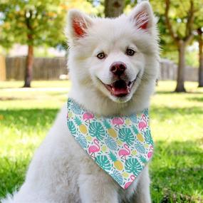 img 1 attached to Summer Fruit Dog Bandanas - 12 Pack, Washable Triangle Dog Bibs Scarf Assortment for Small Medium Size Pets - Pet Kerchief Dog Scarf Accessories with SEO-friendly Summer Patterns (Size M)