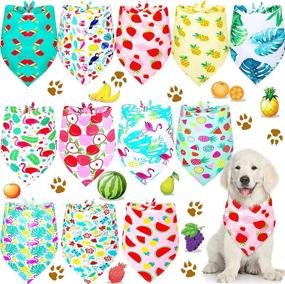 img 4 attached to Summer Fruit Dog Bandanas - 12 Pack, Washable Triangle Dog Bibs Scarf Assortment for Small Medium Size Pets - Pet Kerchief Dog Scarf Accessories with SEO-friendly Summer Patterns (Size M)