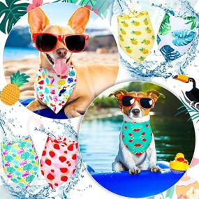 img 2 attached to Summer Fruit Dog Bandanas - 12 Pack, Washable Triangle Dog Bibs Scarf Assortment for Small Medium Size Pets - Pet Kerchief Dog Scarf Accessories with SEO-friendly Summer Patterns (Size M)