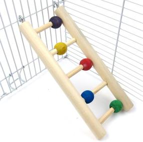 img 4 attached to 🦜 Alfie Pet - Quinlan Hanging Wood Bird Ladder Toy for Enhanced Playtime