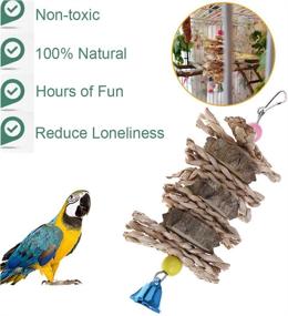 img 1 attached to Kathson Bird Chewing Toys: Cuttlebone Woven Raw Wood Chew with Calcium, Hanging Parrot Beak Grinding Stone, Bell & Grass - 3 Packed | Ideal for Small Birds