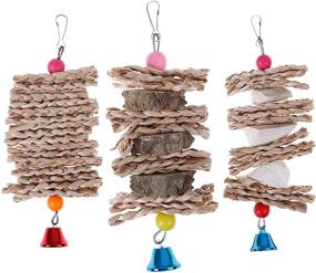 img 4 attached to Kathson Bird Chewing Toys: Cuttlebone Woven Raw Wood Chew with Calcium, Hanging Parrot Beak Grinding Stone, Bell & Grass - 3 Packed | Ideal for Small Birds