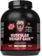 🏋️ muscular weight gain v3.0, extreme vanilla, 4.4-pounds tub by healthy 'n fit logo