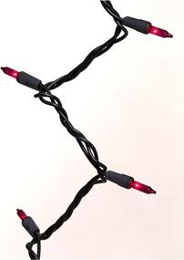 img 2 attached to Sylvania V34708-88: Spooky 100-Count 🎃 Purple Halloween Lights with Black Wire