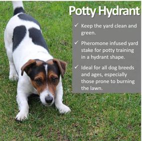 img 3 attached to 🐶 Dog Potty Hydrant: Vet-Approved Pet Product for Optimal Results