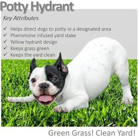 img 1 attached to 🐶 Dog Potty Hydrant: Vet-Approved Pet Product for Optimal Results