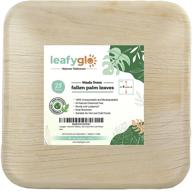 🌿 leafyglo natures tableware: areca palm leaf 8 inch square plates - 25 pack disposable, compostable, bamboo, eco friendly, biodegradable - an ideal alternative to paper and plastic plates logo