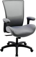 💺 ergonomic office computer desk chair with flip arms waist support function, 500 lbs capacity - grey by boliss logo