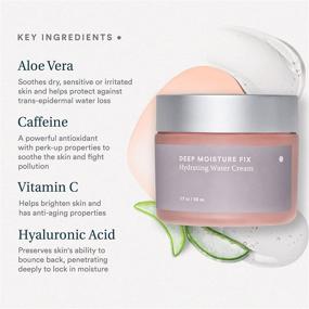 img 1 attached to 🌸 Care Skincare Deep Moisture Fix - Hydrating Aloe Face Cream with Hyaluronic Acid and Vitamins C and E, Paraben-Free, Day and Night Moisturizer, 1.7 fl oz