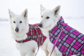 img 2 attached to 🐶 Stylish Warmth: Introducing RC Pet Products Whistler Winter Wear V.2 Fleece Dog Coat