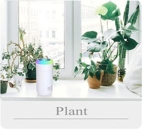 img 1 attached to 🌿 O-Mei Stars Small Humidifier, 350ml USB Mini Humidifier, Indoor Plant Humidifier, Cool Mist Humidifiers with Night Light, USB Car Humidifier, Desk Humidifier (White with Extra Filter)