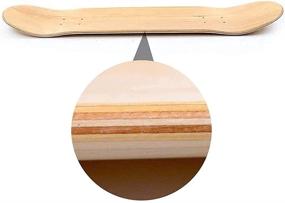 img 1 attached to 🛹 High-Quality Ageofone Blank Skateboard Decks - Maple Skateboard Decks 8.0'' for Optimal Performance