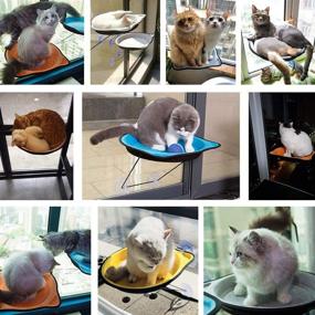 img 2 attached to 🐱 D.Jane Cat Window Bed Hammock: The Perfect Sunny Seat for Small Indoor Cats up to 28 lb - Window Mounted Cat Perch with Strong Suction Cups