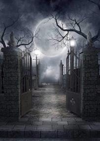 img 4 attached to 🎃 Fanghui Halloween Theme Photography Background - Spooky Dark Horror Moon and Dead Trees Party Decor Props - 5x7 ft Vinyl Backdrop