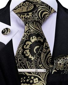 img 3 attached to DiBanGu Paisley Necktie Pocket Square Men's Accessories in Ties, Cummerbunds & Pocket Squares