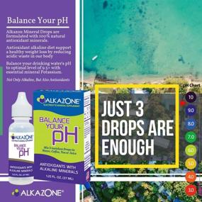 img 1 attached to Revitalizing Hydration: Alkaline Water Drops & Strips Bundle