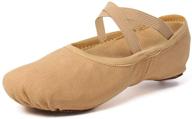 🩰 vcixxvce girls/toddlers/kids stretch canvas ballet slippers: ideal dance and yoga shoes logo