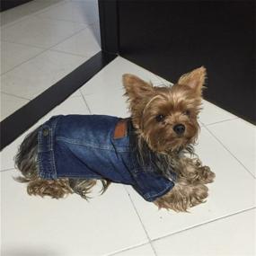 img 1 attached to Stylish Denim Pet Jacket: Joopet 🐶 Blue Jean Dog Clothes for Cats & Puppies