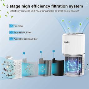 img 2 attached to 🌬️ Likein Air Purifier: Powerful H13 True HEPA Filtration System for a Cleaner, Odor-free Home - Removes 99.97% of Pet Hair, Dander, Pollen, Dust, and Smoke!