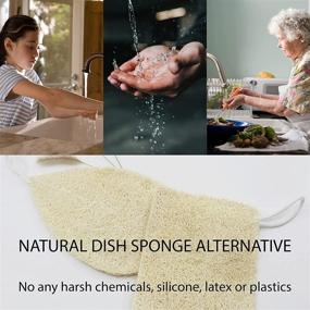 img 2 attached to AGAINATURE 5 Pack Natural Loofah Sponge, Plant Based Fiber Cleaning Scrubber for Dishes, Non Scratch Dish Sponges, Kitchen Loofah Sponges, Biodegradable, Compostable, Eco Friendly