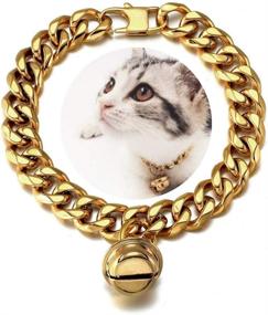 img 4 attached to 🐱 AAAbling Gold Cat Dog Collar 1/2 inch Stainless Steel Kitten Puppy Choker Chain with Bell (12mm Wide, Chew Proof, Cuban Link, Neck Fit 6"-8")