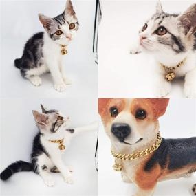 img 3 attached to 🐱 AAAbling Gold Cat Dog Collar 1/2 inch Stainless Steel Kitten Puppy Choker Chain with Bell (12mm Wide, Chew Proof, Cuban Link, Neck Fit 6"-8")