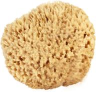 🌊 natural sea wool sponge 5-6" (large): bath & shower express - renewable resource! logo