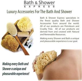 img 3 attached to 🌊 Natural Sea Wool Sponge 5-6" (Large): Bath & Shower Express - Renewable Resource!