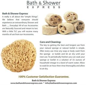 img 2 attached to 🌊 Natural Sea Wool Sponge 5-6" (Large): Bath & Shower Express - Renewable Resource!